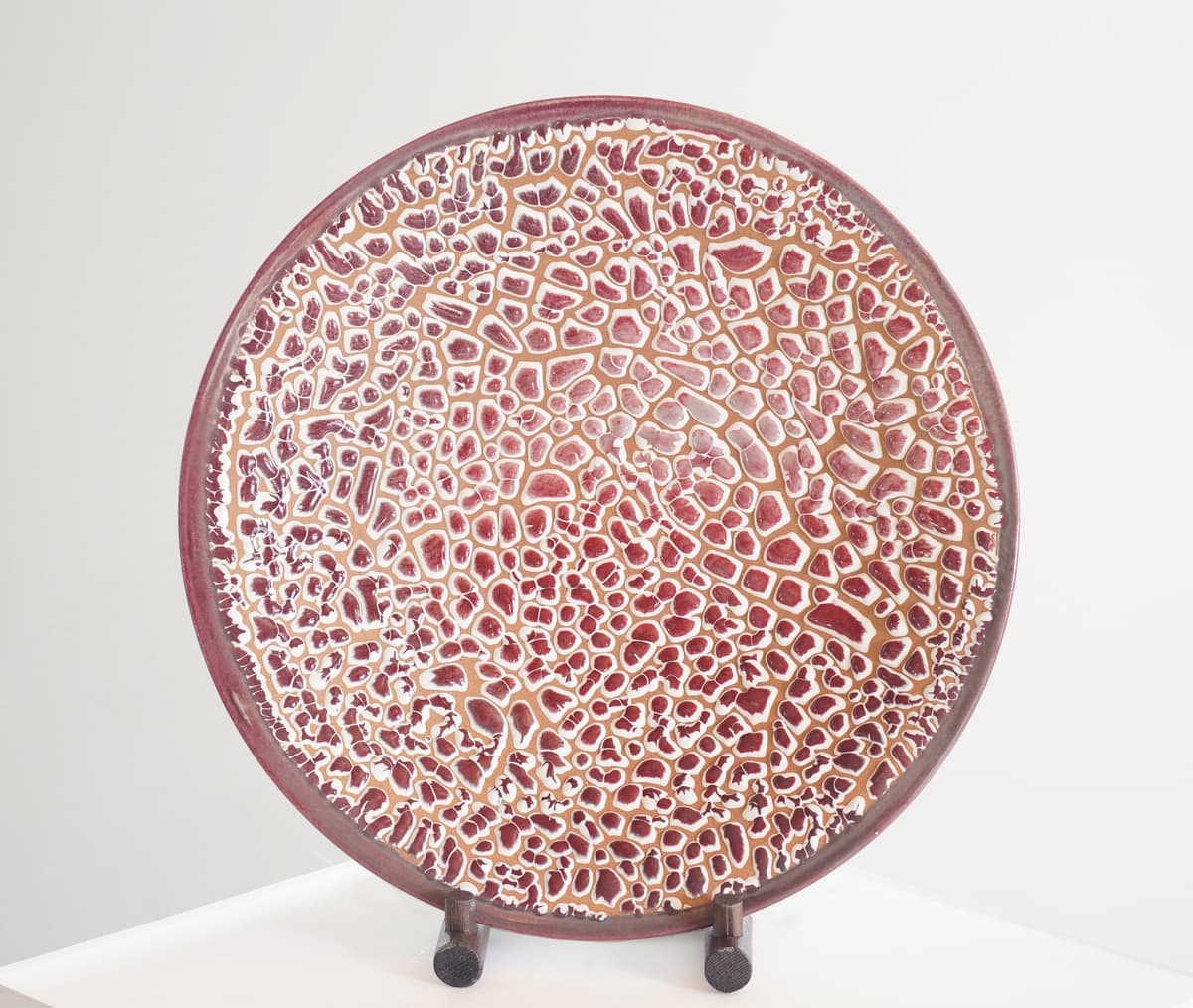 COSMOS
Ⅲ 화성의 세포