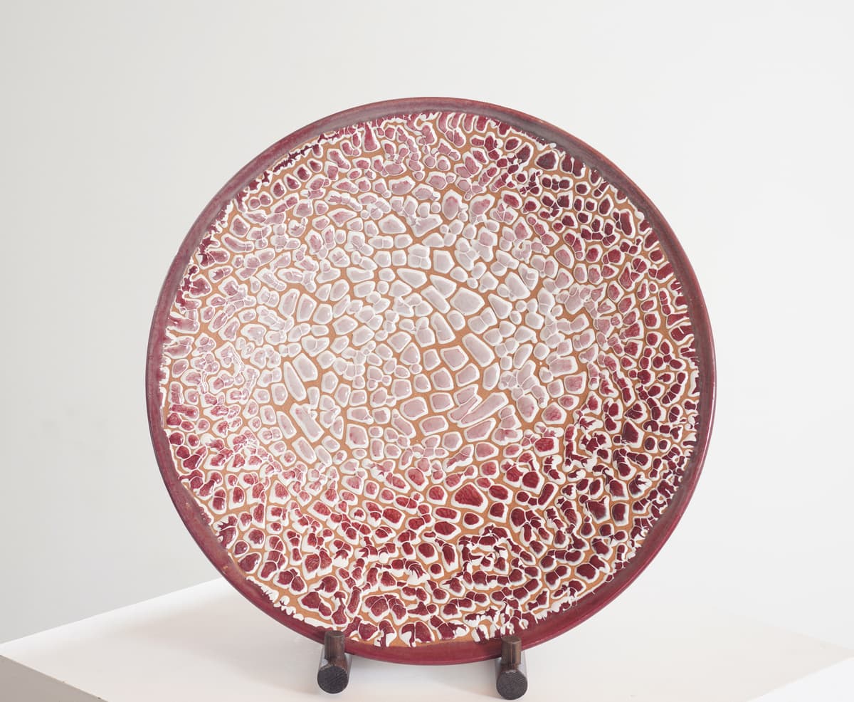 COSMOS
Ⅶ 새벽의 산호