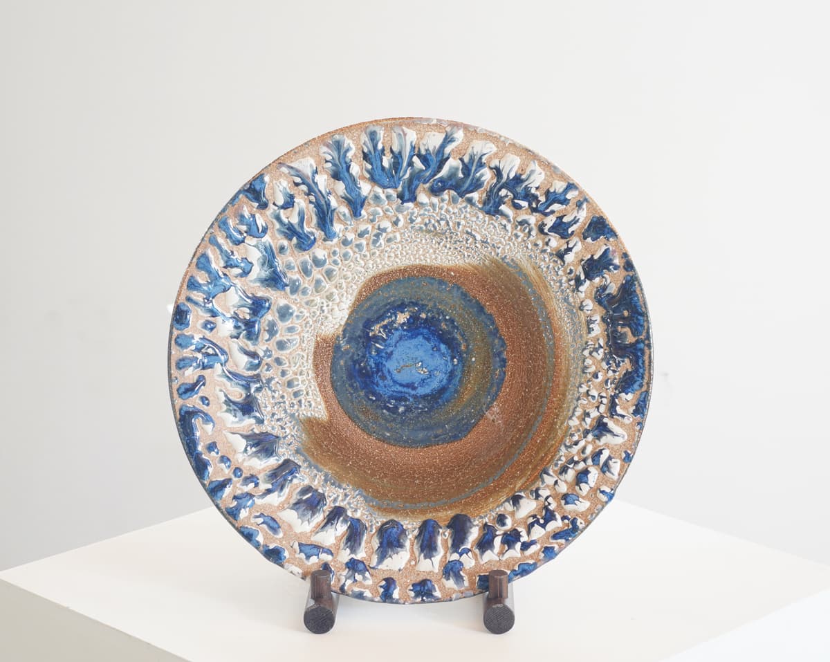 COSMOS
Ⅹ 우주의 눈