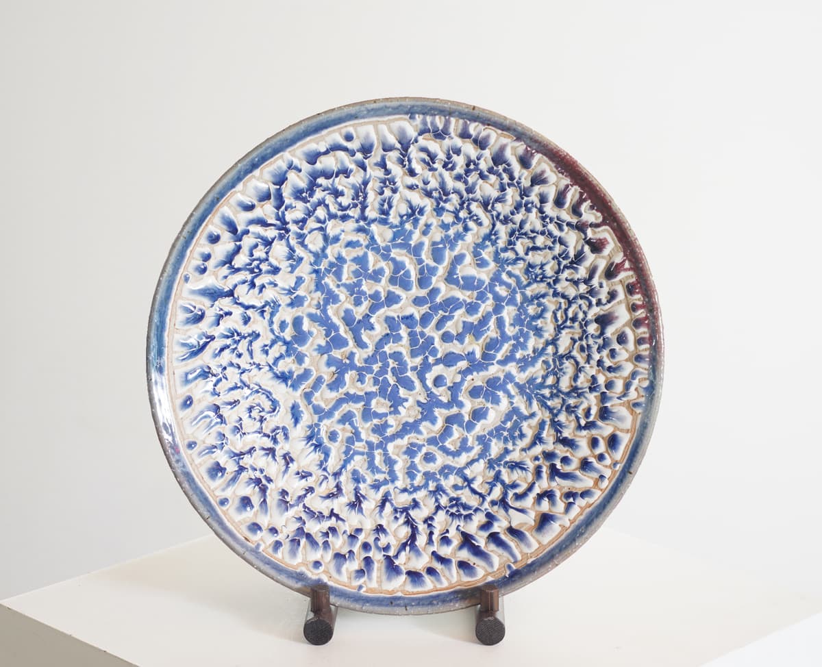 COSMOS
ⅩⅩⅢ 심해의 숲